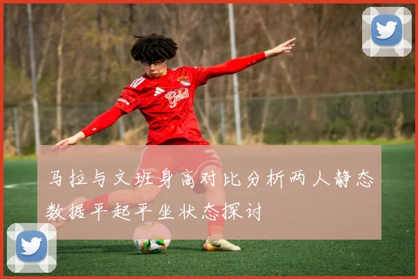 马拉与文班身高对比分析两人静态数据平起平坐状态探讨