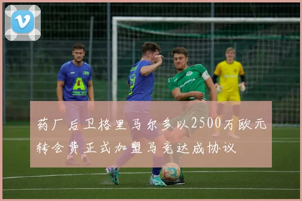 药厂后卫格里马尔多以2500万欧元转会费正式加盟马竞达成协议